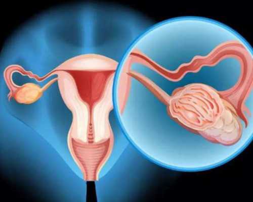 三代试管私立医院_AA69国内代孕,汕尾三代试管大概多少钱在北京？汕头哪里有做