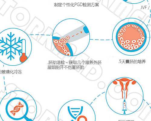 (a)代孕儿子费用,汕头哪里有做第三代试管婴儿的