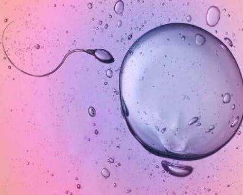 代怀小孩价格多少_哪有代怀公司,2026上海试管婴儿成功率高的医院推荐-附代怀