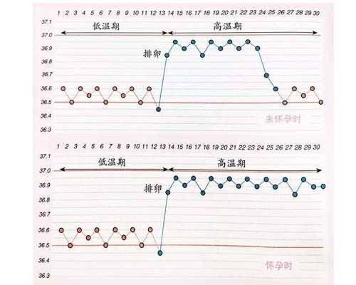 湛江久和医院可以供卵吗？做一次试管费用多少？