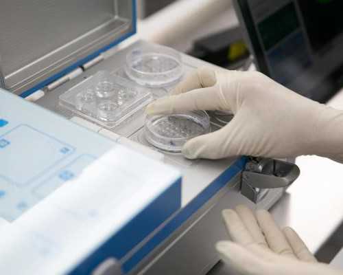 aa69服务网_世纪供卵公司,试管婴儿是指用人工的方法让卵细胞和精子在体外受精