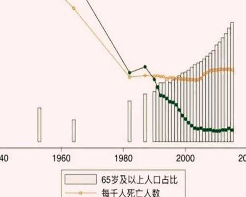 备孕女的能吃驴肉吗（备孕检查项目）