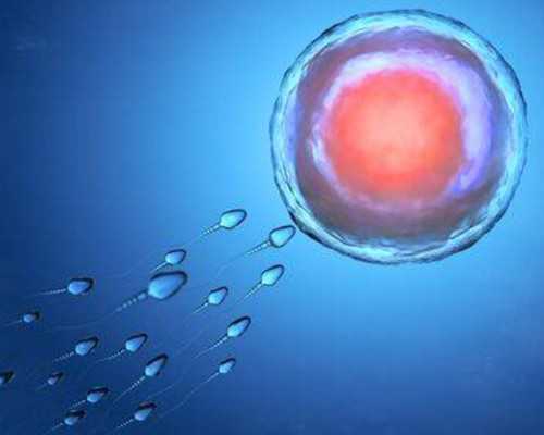 代怀产子价格_40多岁代孕,失独家庭做试管婴儿怎么样_试管移植后可以喝椰汁吗