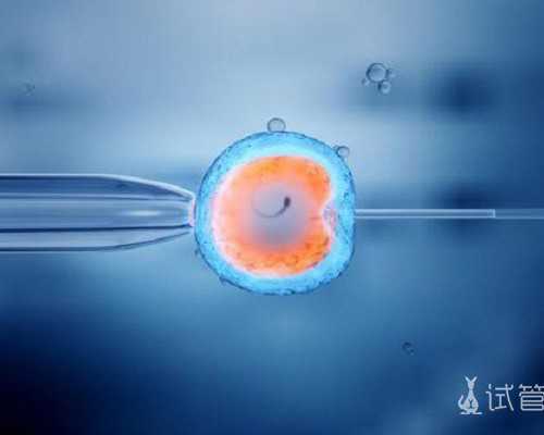 42岁想怀孕需要做什么检查？怎么做几率更高？