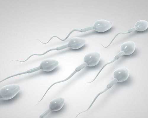 备孕前检查牙齿干嘛_育儿师怎么考,2026湛江试管婴儿成功率一览，附试管医生推