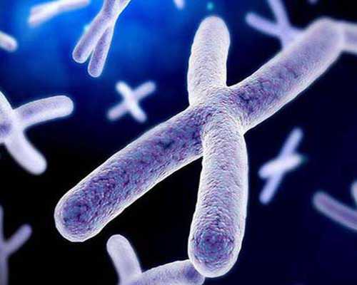 孕早期吃什么维生素_孕早期吃什么水果