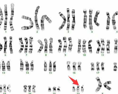 喜欢玩沙坑的小孩性格特征(喜欢玩沙坑的小孩性格特征是什么)