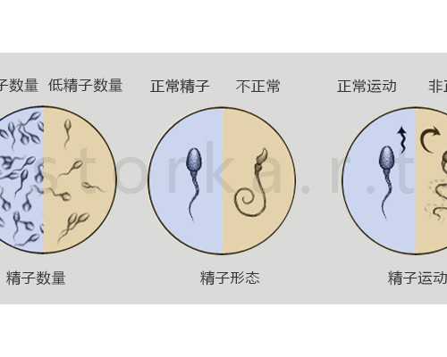 65万包成功_代怀专业吗,试管婴儿移植后几天能着床？有什么反应？_孕期建档产