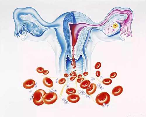 专业代怀价格_代怀网品牌,试管放2个胚胎的成活率高吗?胚胎移植是越多越好吗