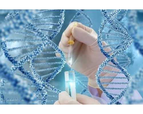 代怀价格多少钱_代怀服务公司,黑龙江供卵代怀生子试管机构一览,2026
黑龙江借