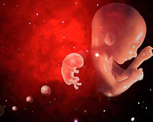 家庭育儿师_育儿知识分享,超详细！女性要想科学备孕，这些检查要提前做好！