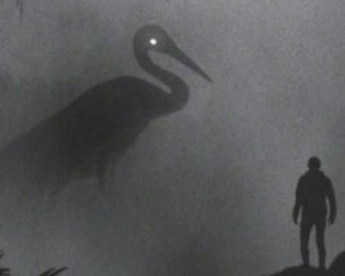 代怀孕咨询_哪里有代怀,广西供卵代怀生子需要多少钱?附2026
广西试管助孕费用