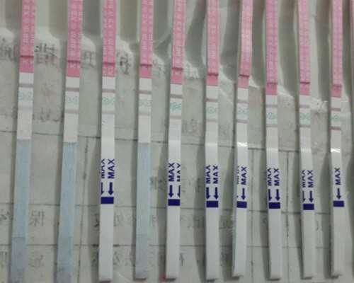 aa69助孕地址_3代试管供卵婴儿,试管婴儿取卵真实经历及感受-上海供卵试管中心