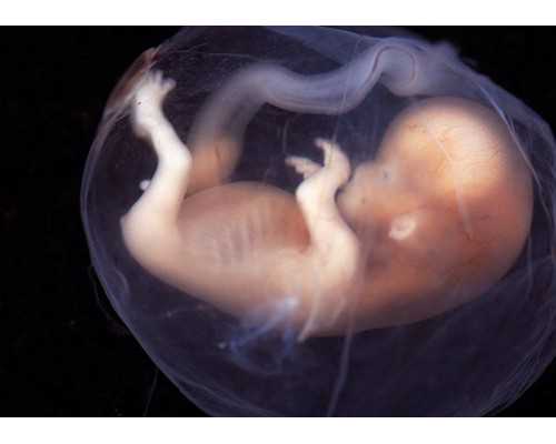 (a)代孕中心有哪些,三亚供卵试管群：三亚供卵试管群有哪些