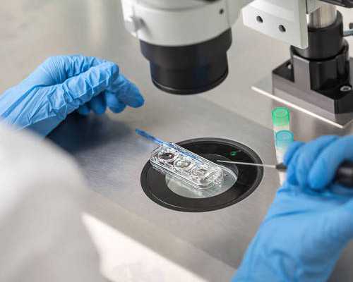 南昌专业借卵生子|南昌医保能报销试管婴儿手术吗？南昌医保可不可以报试管