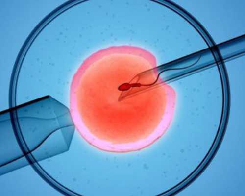 高龄女性怎样才能提高试管成功率？,供卵试管借卵