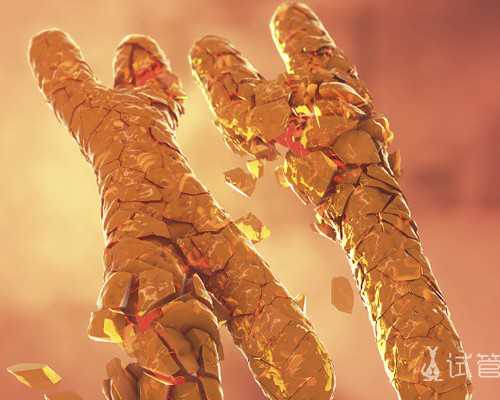 梦美：美国第三代试管婴儿技术与国内的区别在哪?,捐卵机构