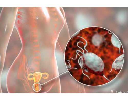 代怀孕公司价格表_有找代怀的吗,2026
内蒙古试管代怀生子医院前十排名公布，