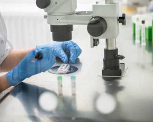 胚胎的等级高成功率就越高吗,做供卵试管