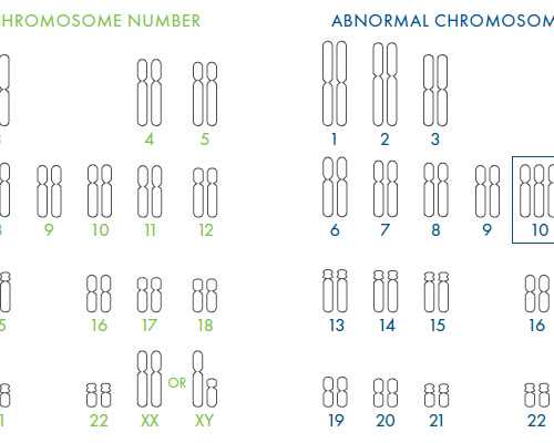 专业供卵中心电话_世纪招代码,试管双腔取卵针是什么意思_试管移植可以吃鹅肉