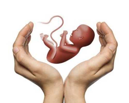 47借卵自怀_365助孕中心,试管婴儿理论年龄上限是多少？-上海供卵试管中心地址